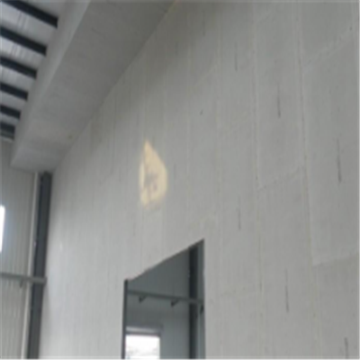 稷山新型建筑材料掺多种工业废渣的ALC|ACC|FPS模块板材轻质隔墙板
